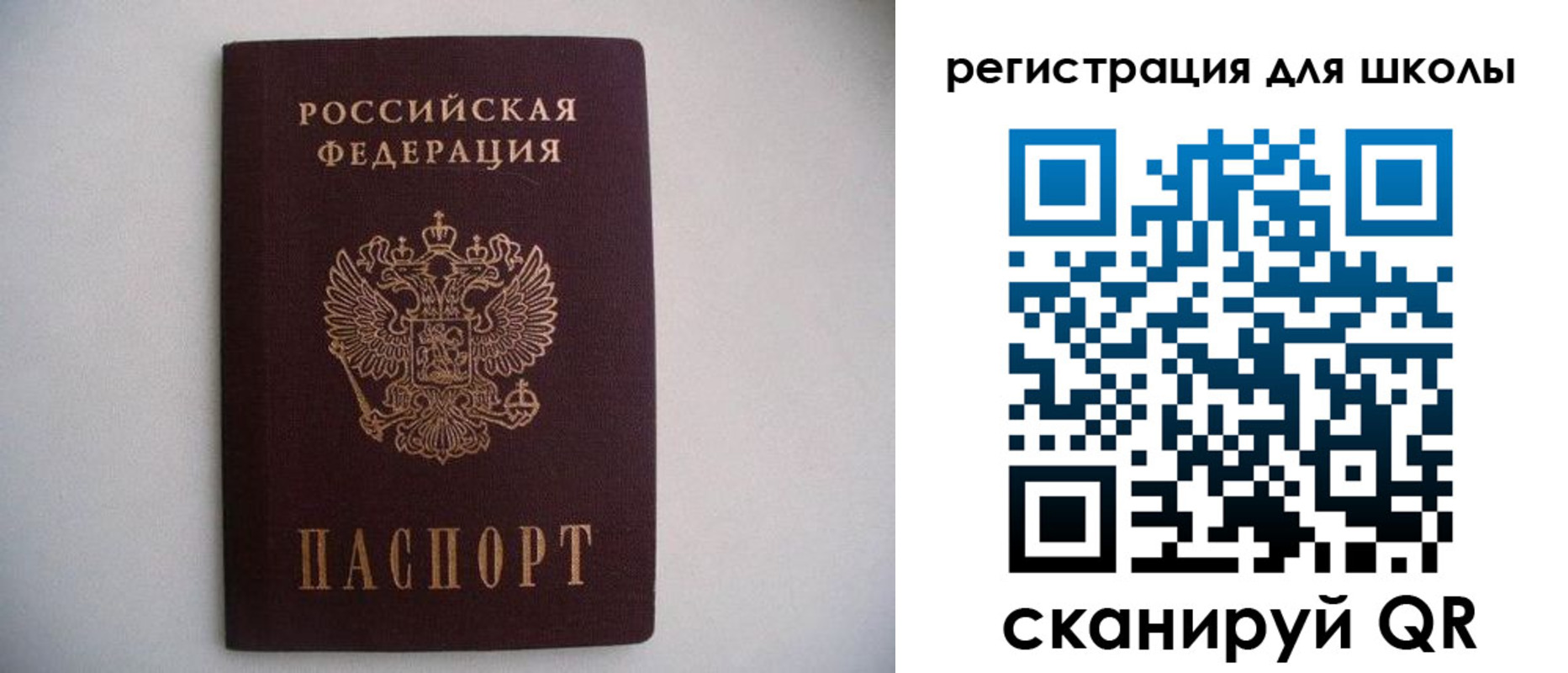 прописка поиск в Мытищах